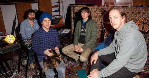 animal collective bandcamp|animal collective pitchfork.